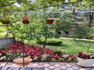 Karaula, Zlatibor, Srbija, 4 Spavaće sobe Spavaće sobe, ,2 BathroomsBathrooms,Vila,Prodaja - Ponuda,1908