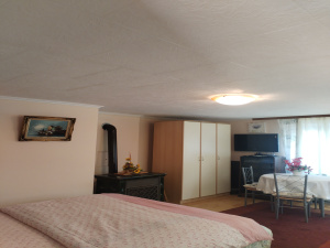 Karaula, Zlatibor, Srbija, 4 Spavaće sobe Spavaće sobe, ,2 BathroomsBathrooms,Vila,Prodaja - Ponuda,1908