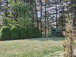 Karaula, Zlatibor, Srbija, 4 Spavaće sobe Spavaće sobe, ,2 BathroomsBathrooms,Vila,Prodaja - Ponuda,1908