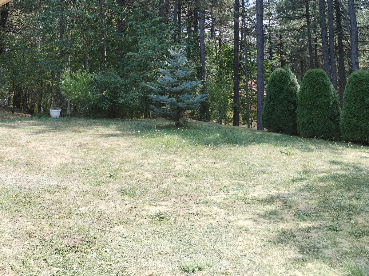 Karaula, Zlatibor, Srbija, 4 Spavaće sobe Spavaće sobe, ,2 BathroomsBathrooms,Vila,Prodaja - Ponuda,1908