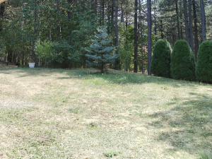 Karaula, Zlatibor, Srbija, 4 Spavaće sobe Spavaće sobe, ,2 BathroomsBathrooms,Vila,Prodaja - Ponuda,1908