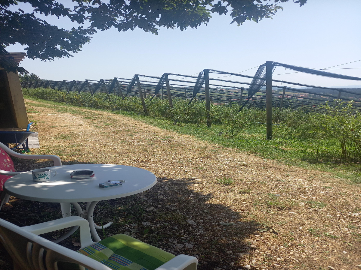 Bela Zemlja, Užice, Srbija, ,Zemljište,Prodaja - Ponuda,1912