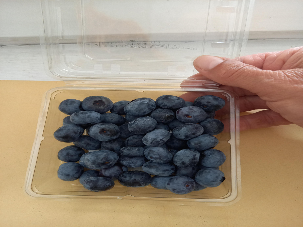 Bela Zemlja, Užice, Srbija, ,Zemljište,Prodaja - Ponuda,1912