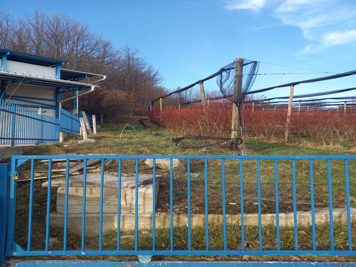 Bela Zemlja, Užice, Srbija, ,Zemljište,Prodaja - Ponuda,1912