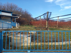 Bela Zemlja, Užice, Srbija, ,Zemljište,Prodaja - Ponuda,1912