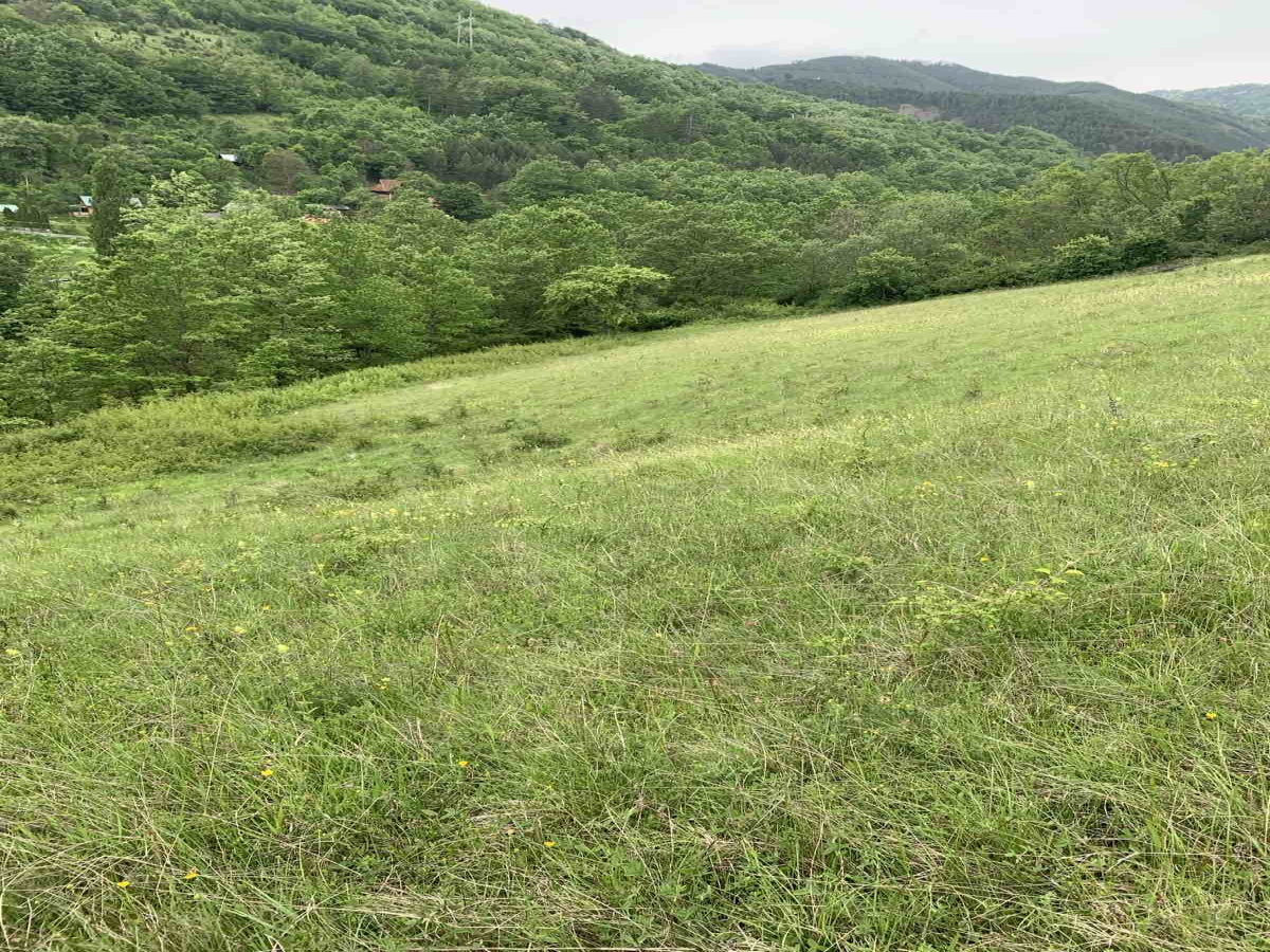 Golo brdo, Mokra Gora, Srbija, ,Zemljište,Prodaja - Ponuda,1927