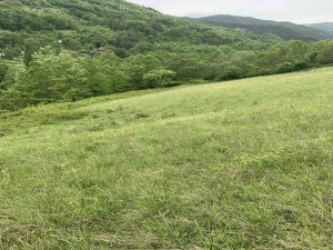 Golo brdo, Mokra Gora, Srbija, ,Zemljište,Prodaja - Ponuda,1927