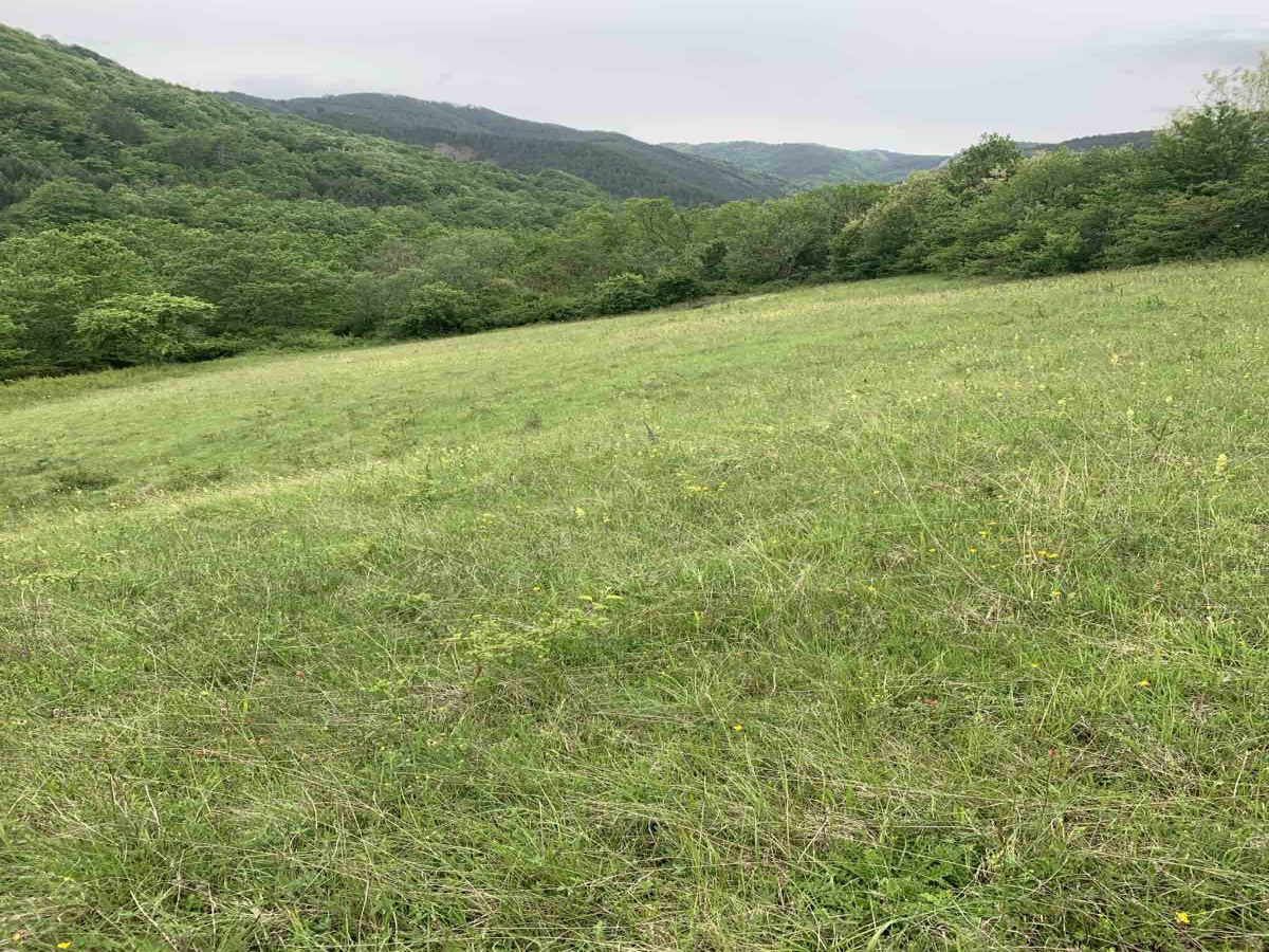 Golo brdo, Mokra Gora, Srbija, ,Zemljište,Prodaja - Ponuda,1927