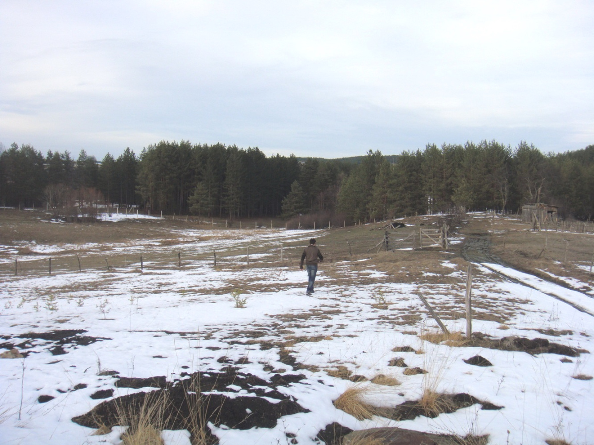 Kremna, Srbija, ,Zemljište,Prodaja - Ponuda,1929