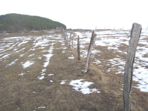Kremna, Srbija, ,Zemljište,Prodaja - Ponuda,1929