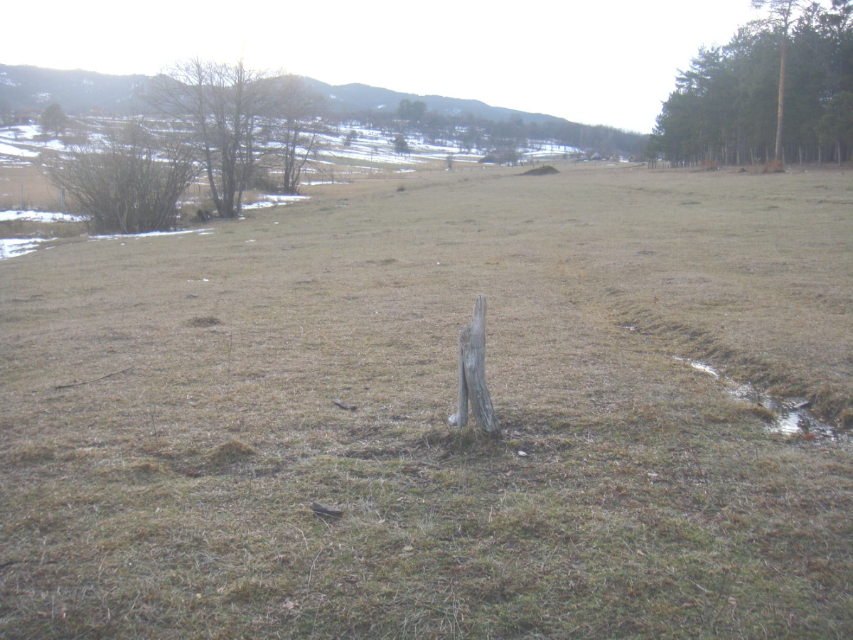 Kremna, Srbija, ,Zemljište,Prodaja - Ponuda,1929