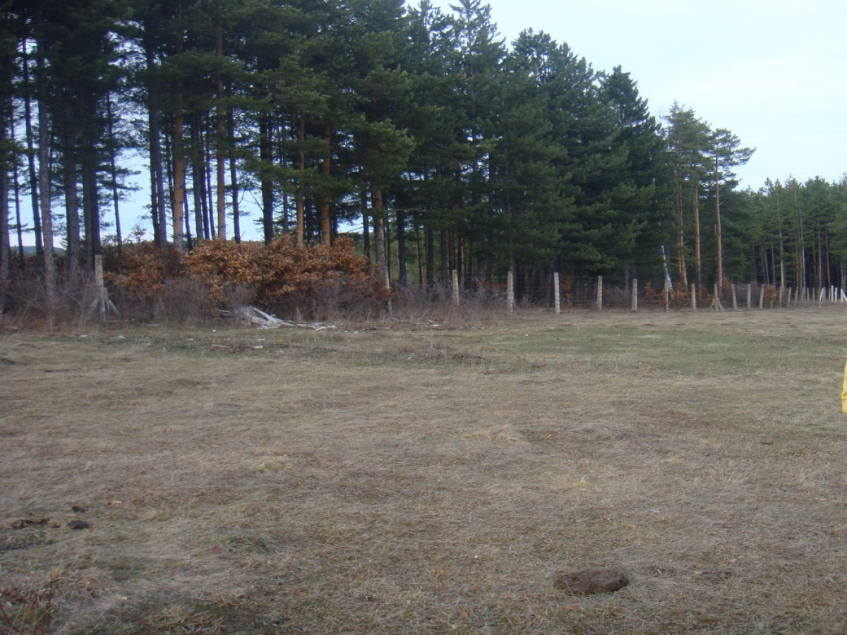 Kremna, Srbija, ,Zemljište,Prodaja - Ponuda,1929