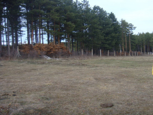 Kremna, Srbija, ,Zemljište,Prodaja - Ponuda,1929