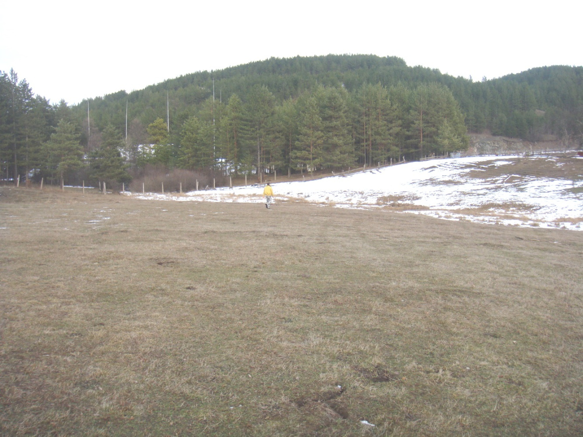 Kremna, Srbija, ,Zemljište,Prodaja - Ponuda,1929