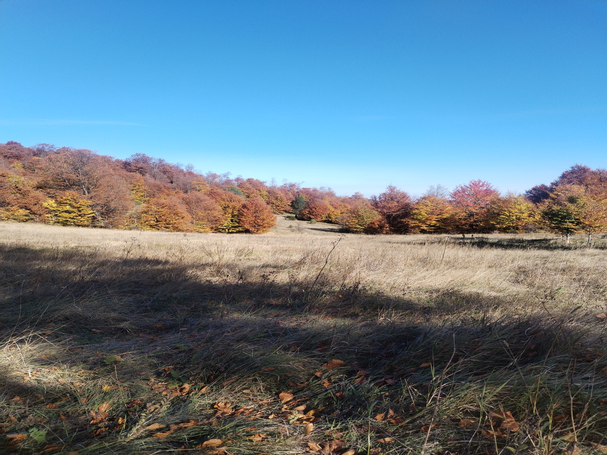 Miloševac, Mokra Gora, Srbija, ,Zemljište,Prodaja - Ponuda,1931