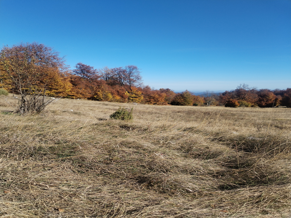 Miloševac, Mokra Gora, Srbija, ,Zemljište,Prodaja - Ponuda,1931