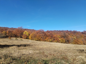 Miloševac, Mokra Gora, Srbija, ,Zemljište,Prodaja - Ponuda,1931