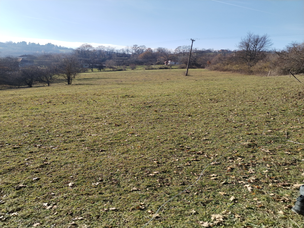 Bela Zemlja, Užice, Srbija, ,Zemljište,Prodaja - Ponuda,1934