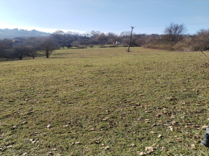 Bela Zemlja, Užice, Srbija, ,Zemljište,Prodaja - Ponuda,1934