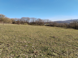 Bela Zemlja, Užice, Srbija, ,Zemljište,Prodaja - Ponuda,1934