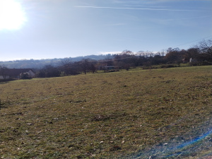 Bela Zemlja, Užice, Srbija, ,Zemljište,Prodaja - Ponuda,1934