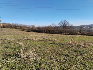 Bela Zemlja, Užice, Srbija, ,Zemljište,Prodaja - Ponuda,1934