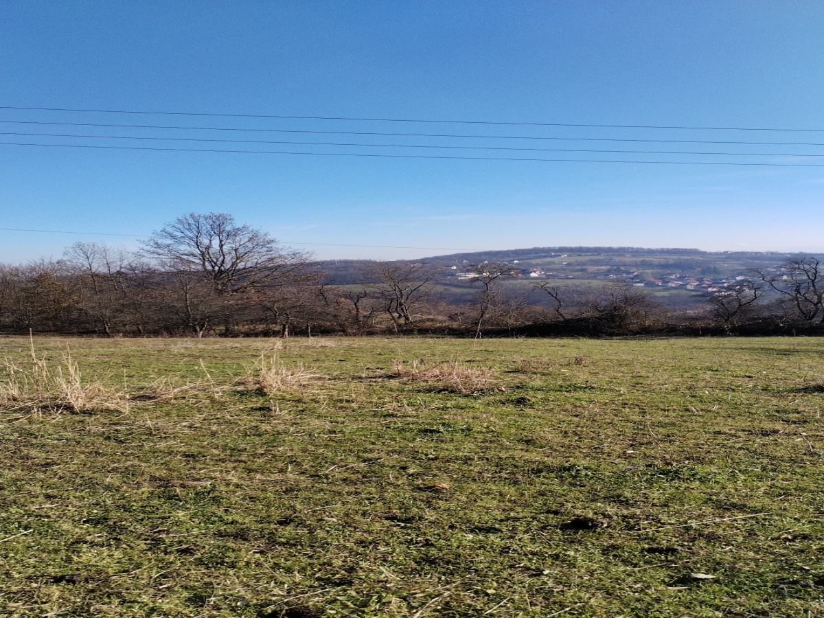 Bela Zemlja, Užice, Srbija, ,Zemljište,Prodaja - Ponuda,1934