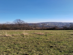 Bela Zemlja, Užice, Srbija, ,Zemljište,Prodaja - Ponuda,1934
