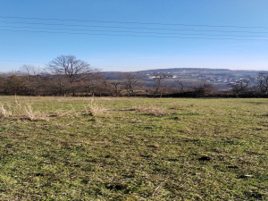 Bela Zemlja, Užice, Srbija, ,Zemljište,Prodaja - Ponuda,1934