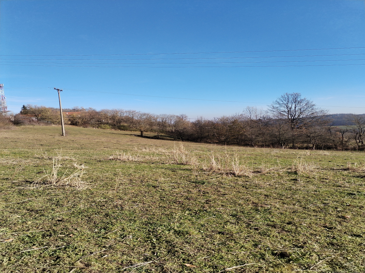 Bela Zemlja, Užice, Srbija, ,Zemljište,Prodaja - Ponuda,1934