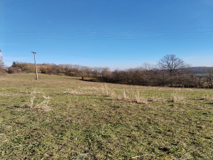 Bela Zemlja, Užice, Srbija, ,Zemljište,Prodaja - Ponuda,1934