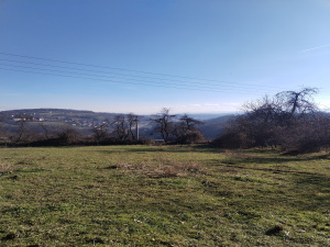 Bela Zemlja, Užice, Srbija, ,Zemljište,Prodaja - Ponuda,1934