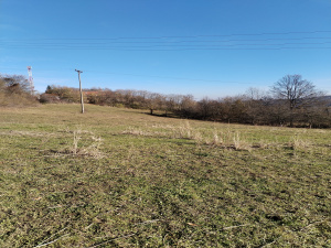 Bela Zemlja, Užice, Srbija, ,Zemljište,Prodaja - Ponuda,1934
