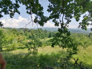 Zdravčići, Požega, Srbija, ,Zemljište,Prodaja - Ponuda,1946
