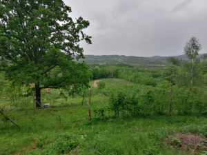 Zdravčići, Požega, Srbija, ,Zemljište,Prodaja - Ponuda,1946