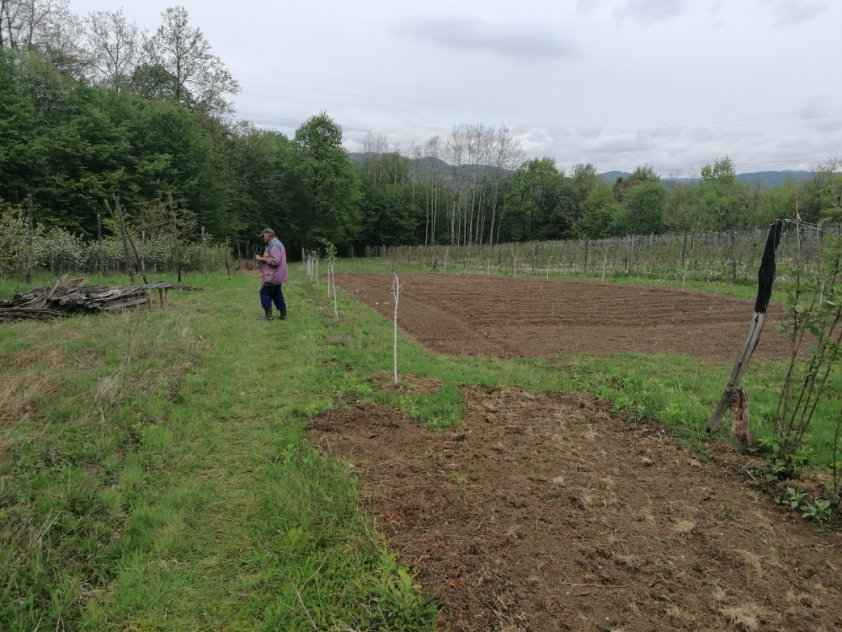 Zdravčići, Požega, Srbija, ,Zemljište,Prodaja - Ponuda,1946