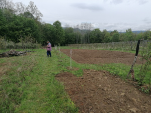 Zdravčići, Požega, Srbija, ,Zemljište,Prodaja - Ponuda,1946