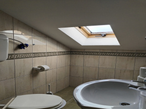 centar, Zlatibor, Srbija, ,Kuća,Prodaja - Ponuda,1949