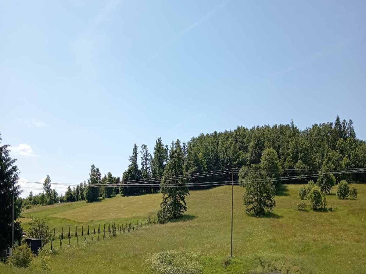 Rožanstvo, Zlatibor, Srbija, ,Zemljište,Prodaja - Ponuda,1961