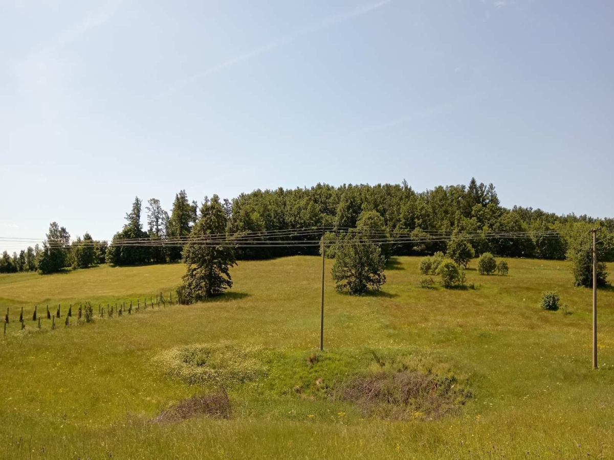Rožanstvo, Zlatibor, Srbija, ,Zemljište,Prodaja - Ponuda,1961