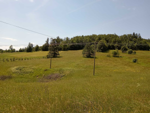 Rožanstvo, Zlatibor, Srbija, ,Zemljište,Prodaja - Ponuda,1961