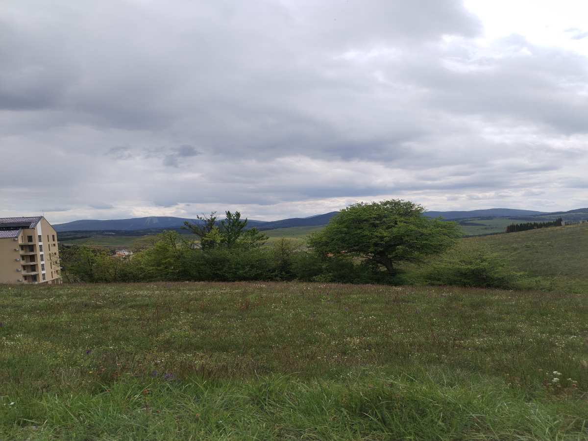 Zova, Zlatibor, Srbija, ,Zemljište,Prodaja - Ponuda,1964