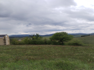 Zova, Zlatibor, Srbija, ,Zemljište,Prodaja - Ponuda,1964