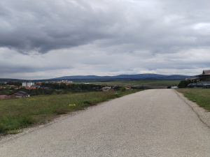 Zova, Zlatibor, Srbija, ,Zemljište,Prodaja - Ponuda,1964