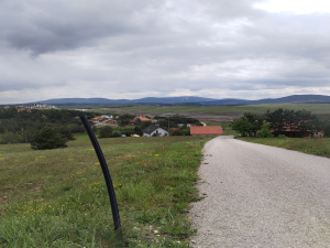 Zova, Zlatibor, Srbija, ,Zemljište,Prodaja - Ponuda,1964