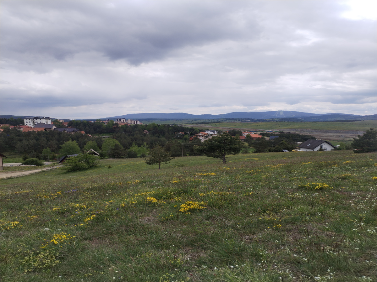 Zova, Zlatibor, Srbija, ,Zemljište,Prodaja - Ponuda,1964