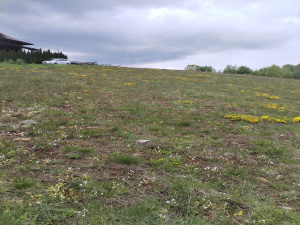 Zova, Zlatibor, Srbija, ,Zemljište,Prodaja - Ponuda,1964