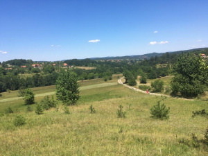 Kremna, Užice, Srbija, ,Zemljište,Prodaja - Ponuda,1969