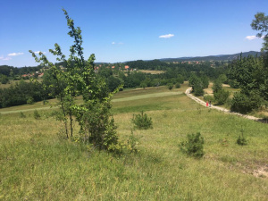 Kremna, Užice, Srbija, ,Zemljište,Prodaja - Ponuda,1969