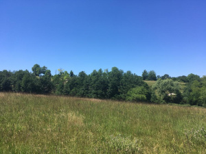 Kremna, Užice, Srbija, ,Zemljište,Prodaja - Ponuda,1969